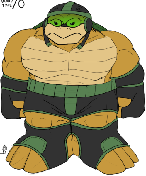 Tortle3.png